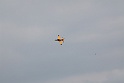 aerb 2009 176